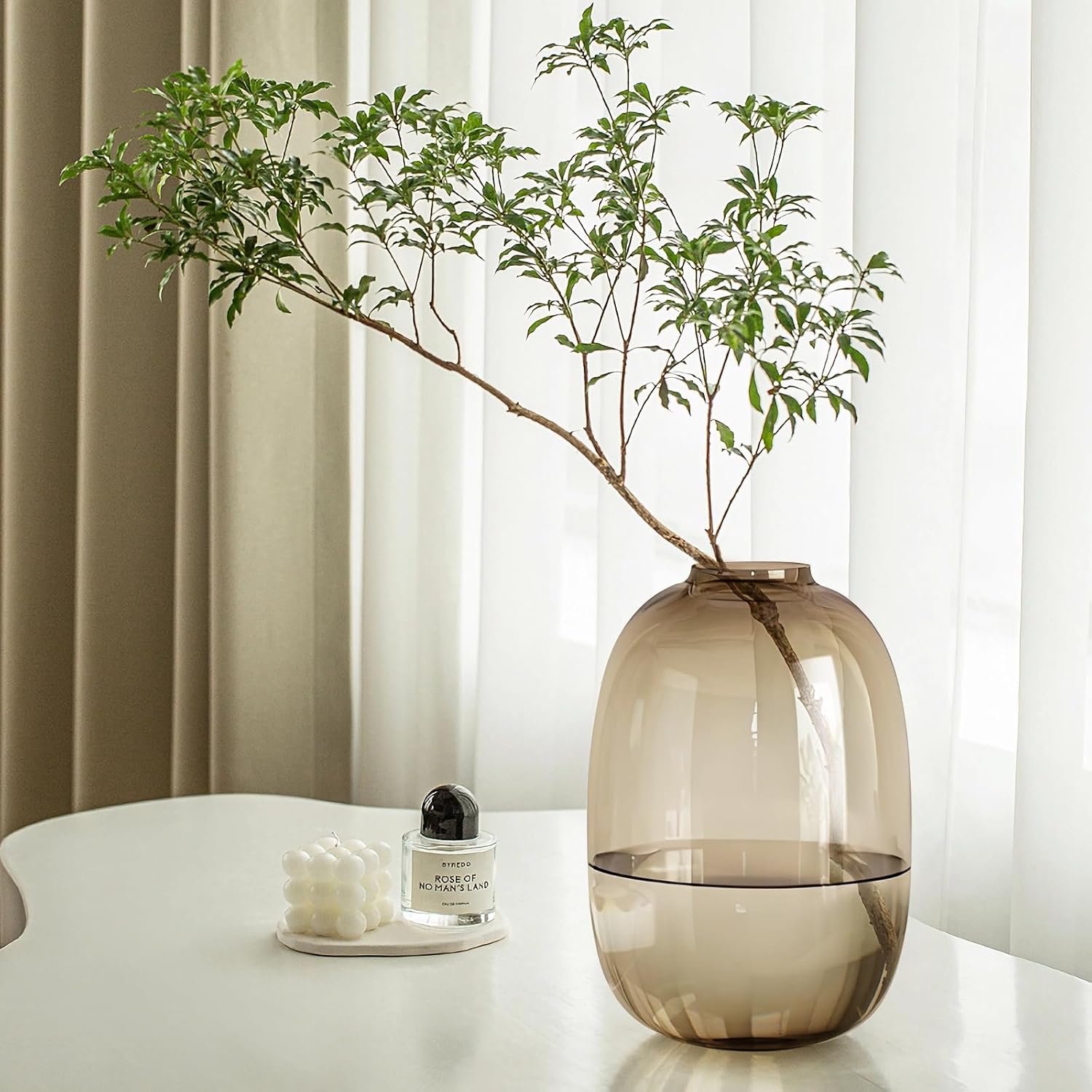Tinted round transparent glass flower bottle, modern interior display container for long stem branches, fresh and artificial foliage arrangements